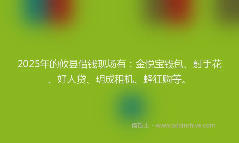 2025年的攸县借钱现场有：金悦宝钱包、射手花、好人贷、玥成租机、蜂狂购等。