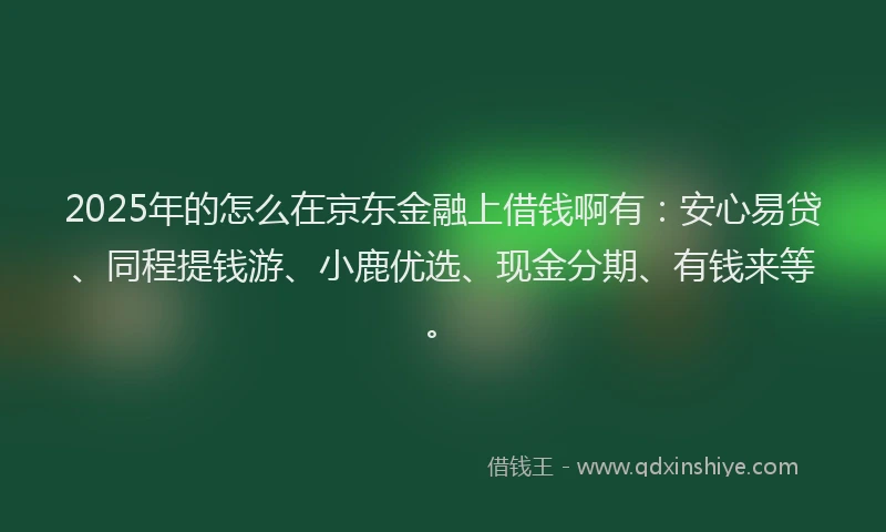2025年的怎么在京东金融上借钱啊有：安心易贷、同程提钱游、小鹿优选、现金分期、有钱来等。