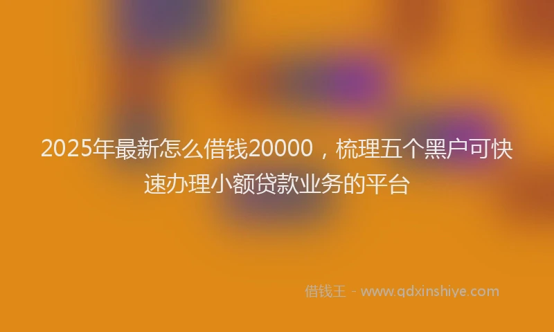 2025年最新怎么借钱20000，梳理五个黑户可快速办理小额贷款业务的平台