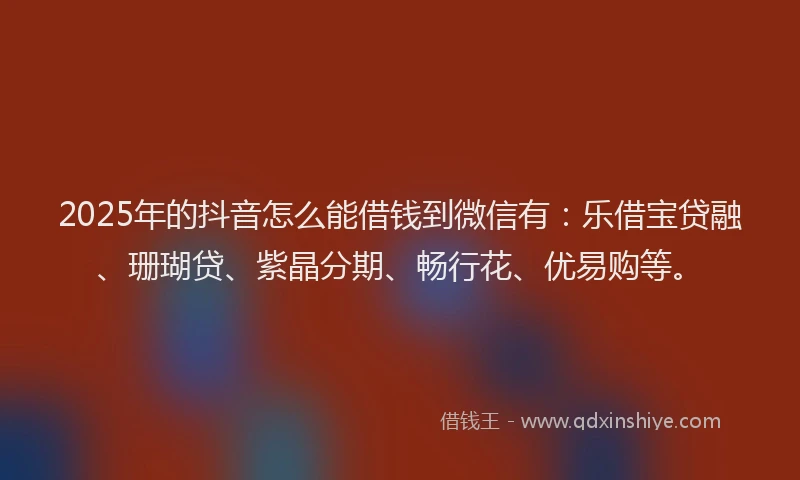 2025年的抖音怎么能借钱到微信有：乐借宝贷融、珊瑚贷、紫晶分期、畅行花、优易购等。