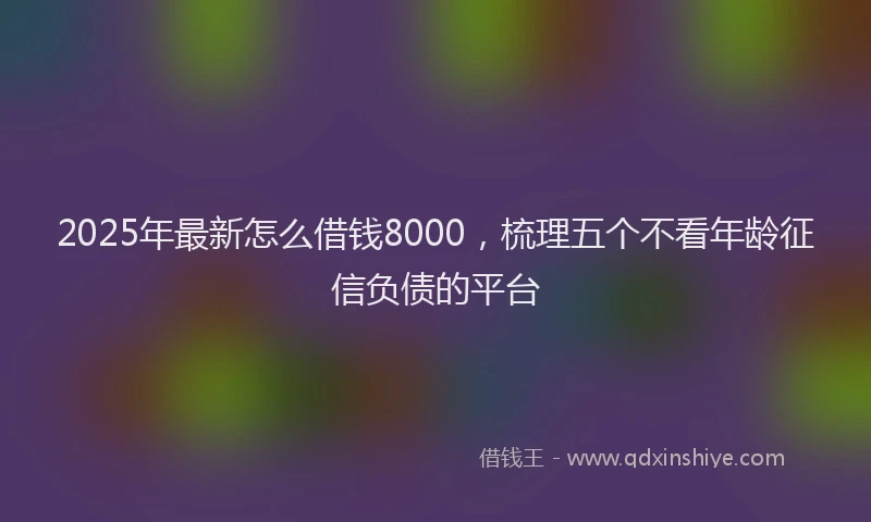 2025年最新怎么借钱8000，梳理五个不看年龄征信负债的平台