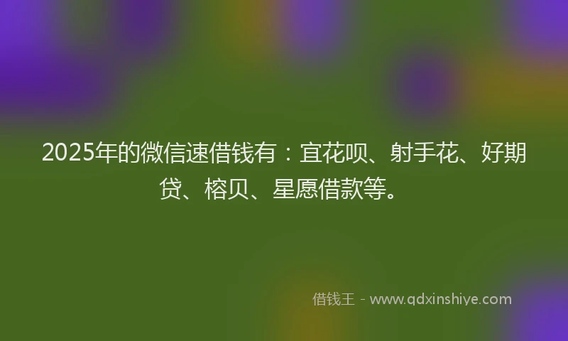 2025年的微信速借钱有：宜花呗、射手花、好期贷、榕贝、星愿借款等。