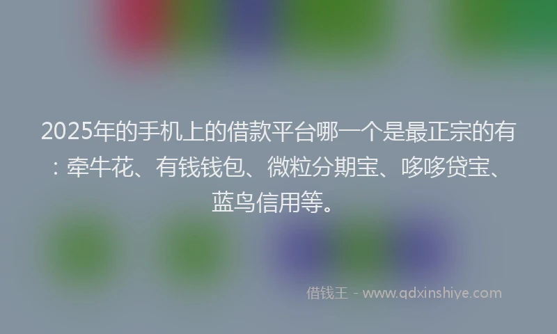2025年的手机上的借款平台哪一个是最正宗的有：牵牛花、有钱钱包、微粒分期宝、哆哆贷宝、蓝鸟信用等。