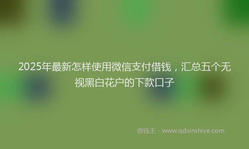 2025年最新怎样使用微信支付借钱，汇总五个无视黑白花户的下款口子