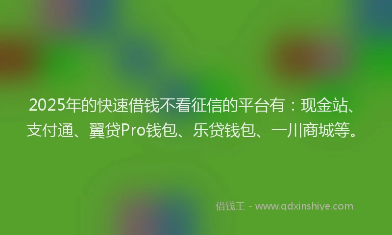 2025年的快速借钱不看征信的平台有：现金站、支付通、翼贷Pro钱包、乐贷钱包、一川商城等。