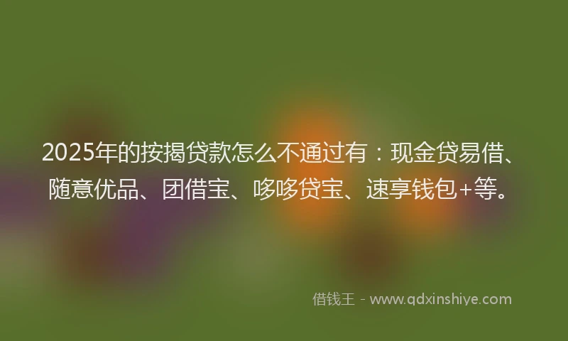 2025年的按揭贷款怎么不通过有：现金贷易借、随意优品、团借宝、哆哆贷宝、速享钱包+等。