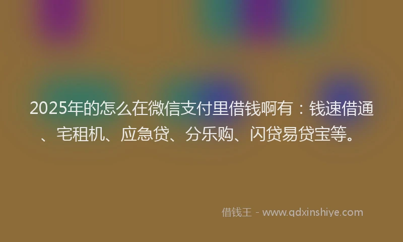 2025年的怎么在微信支付里借钱啊有：钱速借通、宅租机、应急贷、分乐购、闪贷易贷宝等。