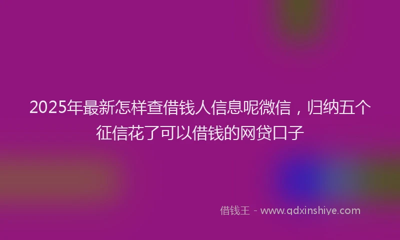 2025年最新怎样查借钱人信息呢微信，归纳五个征信花了可以借钱的网贷口子