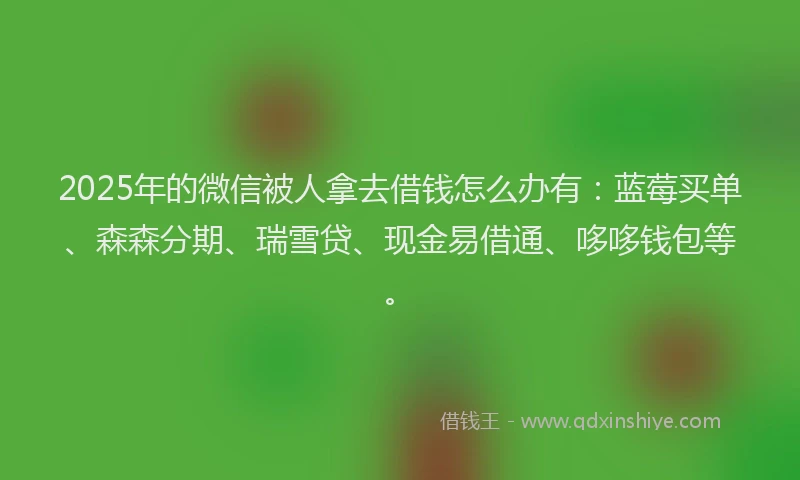 2025年的微信被人拿去借钱怎么办有：蓝莓买单、森森分期、瑞雪贷、现金易借通、哆哆钱包等。