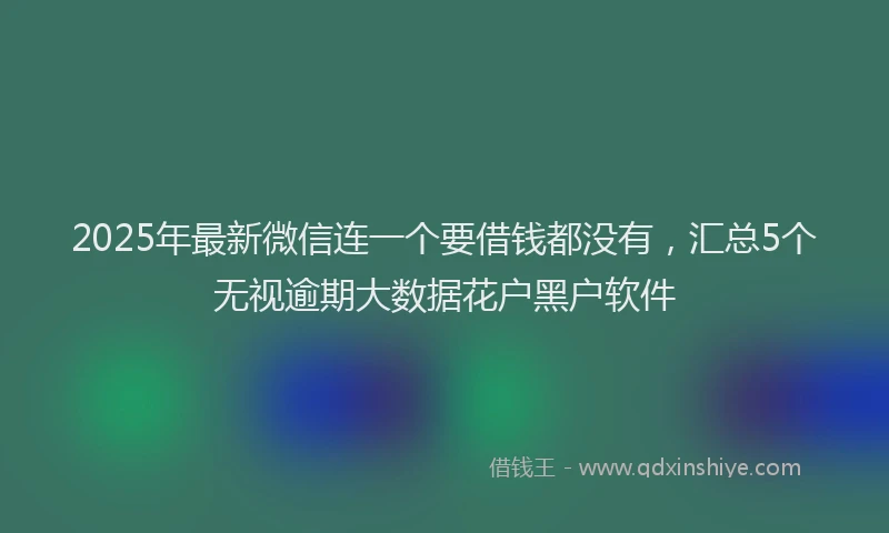 2025年最新微信连一个要借钱都没有，汇总5个无视逾期大数据花户黑户软件