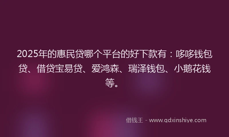 2025年的惠民贷哪个平台的好下款有：哆哆钱包贷、借贷宝易贷、爱鸿森、瑞泽钱包、小鹅花钱等。