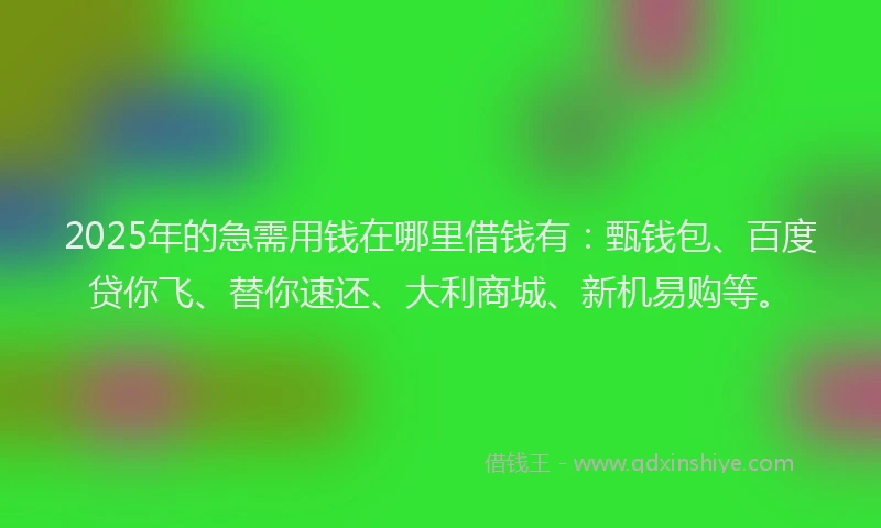 2025年的急需用钱在哪里借钱有：甄钱包、百度贷你飞、替你速还、大利商城、新机易购等。