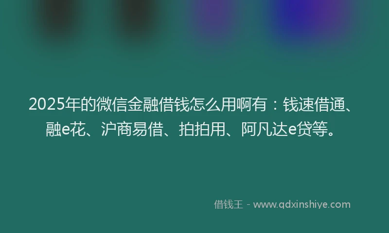 2025年的微信金融借钱怎么用啊有：钱速借通、融e花、沪商易借、拍拍用、阿凡达e贷等。