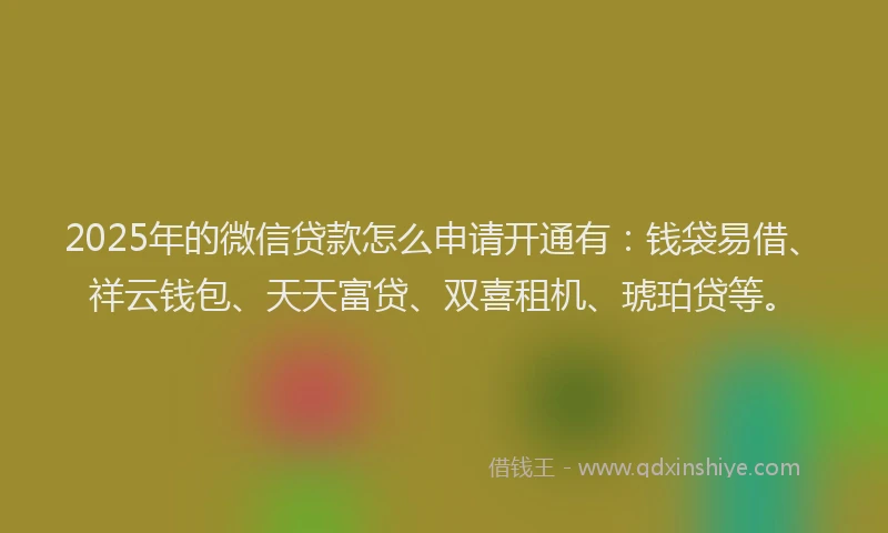 2025年的微信贷款怎么申请开通有：钱袋易借、祥云钱包、天天富贷、双喜租机、琥珀贷等。