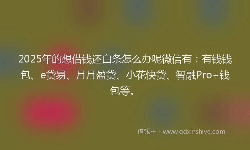 2025年的想借钱还白条怎么办呢微信有:有钱钱包、e贷易、月月盈贷、小花快贷、智融Pro+钱包等。