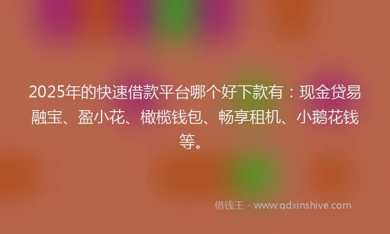 2025年的快速借款平台哪个好下款有：现金贷易融宝、盈小花、橄榄钱包、畅享租机、小鹅花钱等。