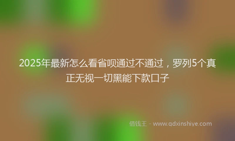 2025年最新怎么看省呗通过不通过，罗列5个真正无视一切黑能下款口子