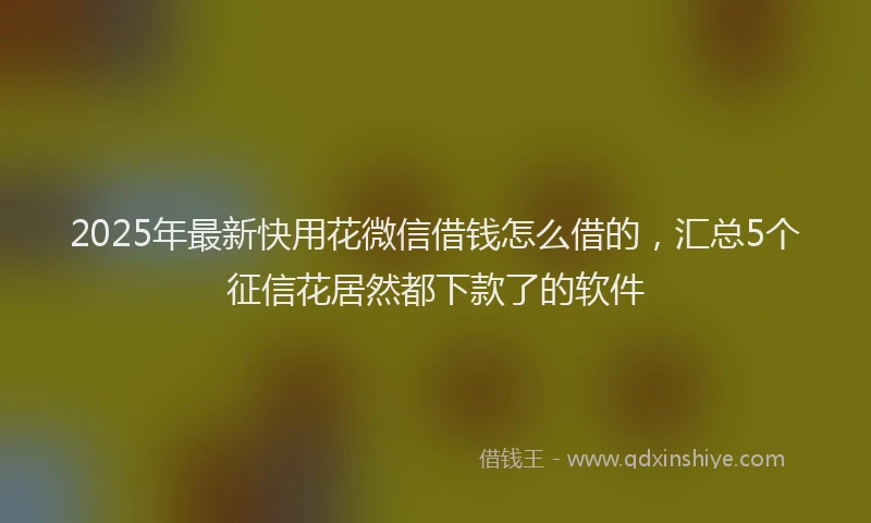 2025年最新快用花微信借钱怎么借的，汇总5个征信花居然都下款了的软件