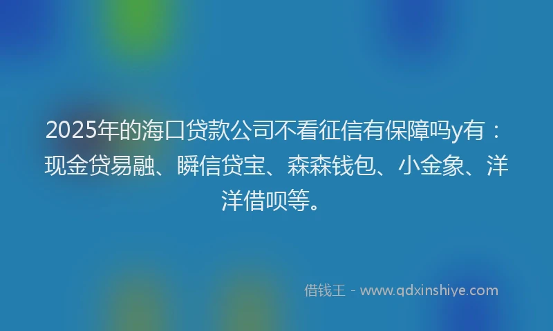 2025年的海口贷款公司不看征信有保障吗y有：现金贷易融、瞬信贷宝、森森钱包、小金象、洋洋借呗等。