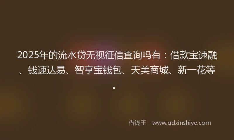 2025年的流水贷无视征信查询吗有：借款宝速融、钱速达易、智享宝钱包、天美商城、新一花等。