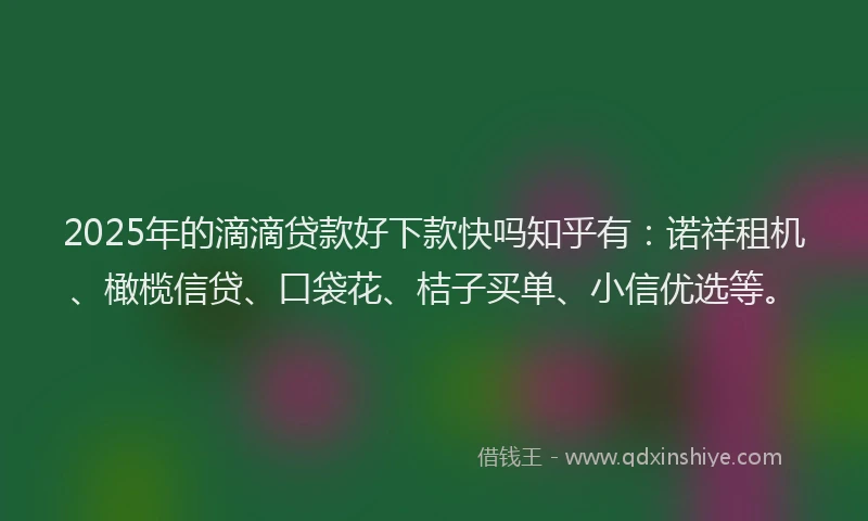 2025年的滴滴贷款好下款快吗知乎有：诺祥租机、橄榄信贷、口袋花、桔子买单、小信优选等。