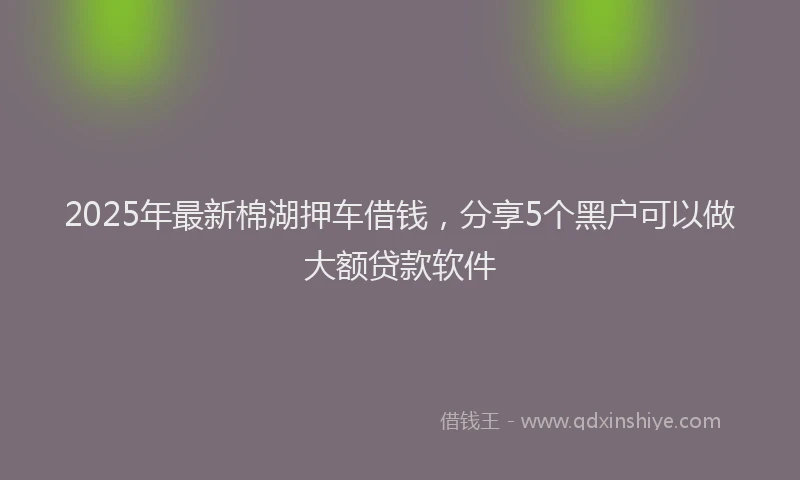 2025年最新棉湖押车借钱，分享5个黑户可以做大额贷款软件