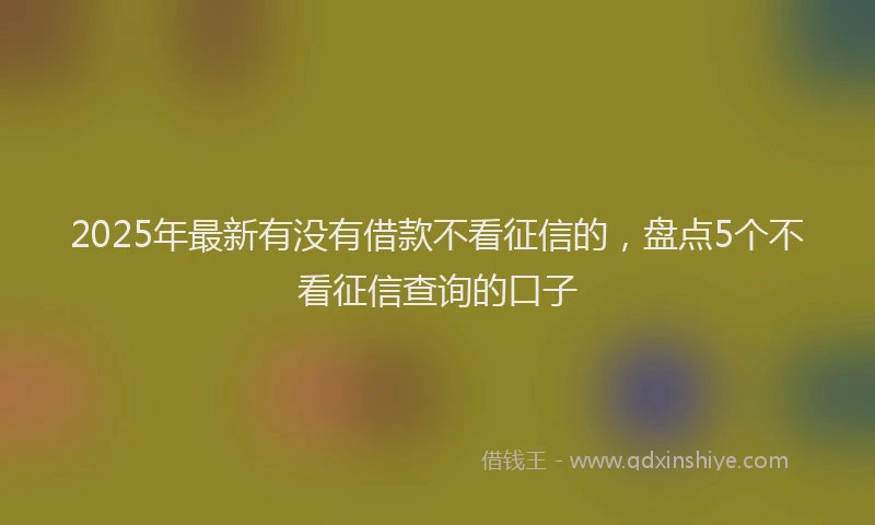 2025年最新有没有借款不看征信的，盘点5个不看征信查询的口子