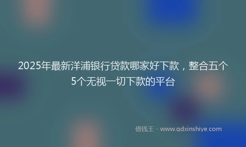 2025年最新洋浦银行贷款哪家好下款，整合五个5个无视一切下款的平台