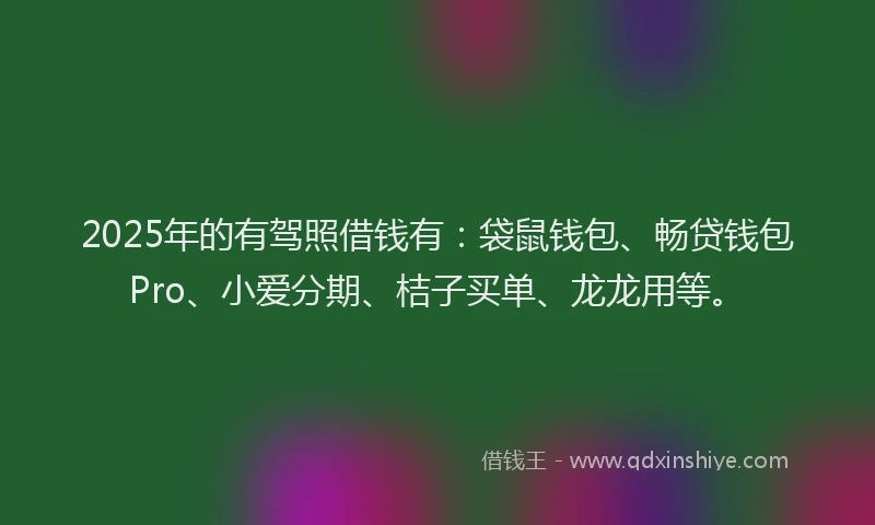 2025年的有驾照借钱有：袋鼠钱包、畅贷钱包Pro、小爱分期、桔子买单、龙龙用等。