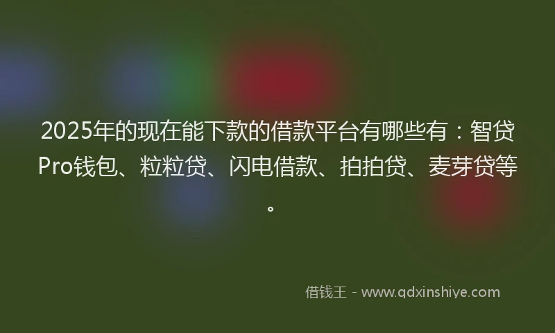2025年的现在能下款的借款平台有哪些有：智贷Pro钱包、粒粒贷、闪电借款、拍拍贷、麦芽贷等。