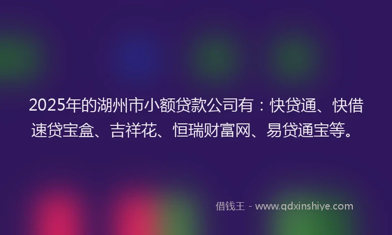 2025年的湖州市小额贷款公司有：快贷通、快借速贷宝盒、吉祥花、恒瑞财富网、易贷通宝等。