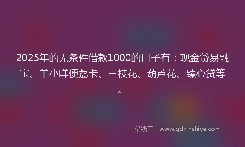 2025年的无条件借款1000的口子有：现金贷易融宝、羊小咩便荔卡、三枝花、葫芦花、臻心贷等。