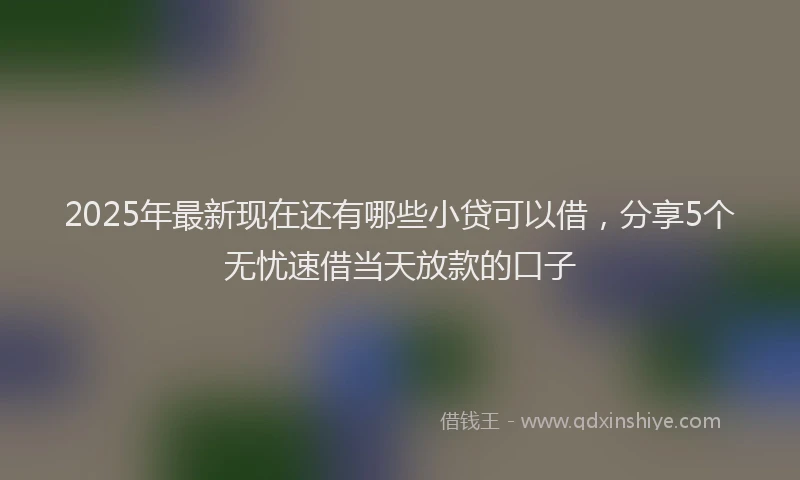 2025年最新现在还有哪些小贷可以借，分享5个无忧速借当天放款的口子