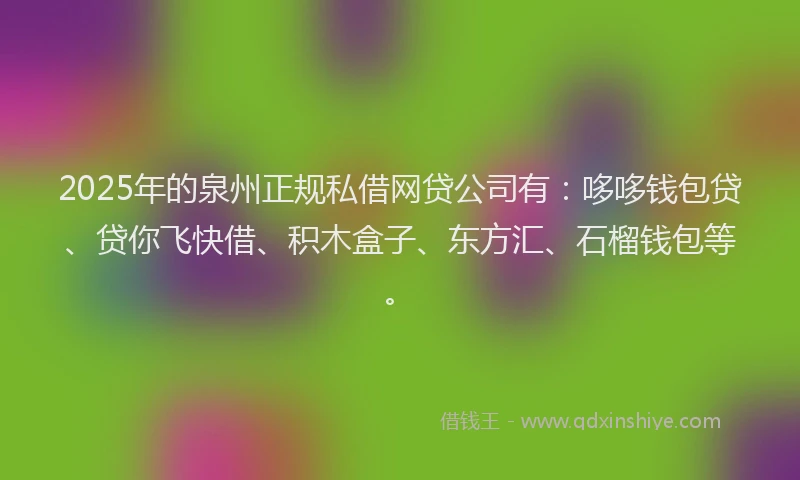 2025年的泉州正规私借网贷公司有：哆哆钱包贷、贷你飞快借、积木盒子、东方汇、石榴钱包等。