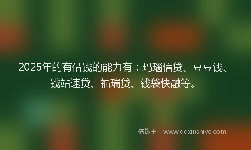 2025年的有借钱的能力有：玛瑙信贷、豆豆钱、钱站速贷、福瑞贷、钱袋快融等。