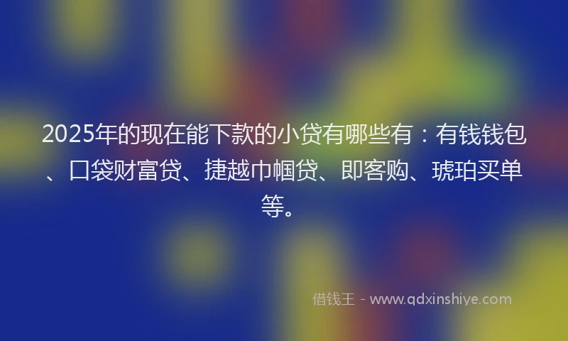 2025年的现在能下款的小贷有哪些有：有钱钱包、口袋财富贷、捷越巾帼贷、即客购、琥珀买单等。