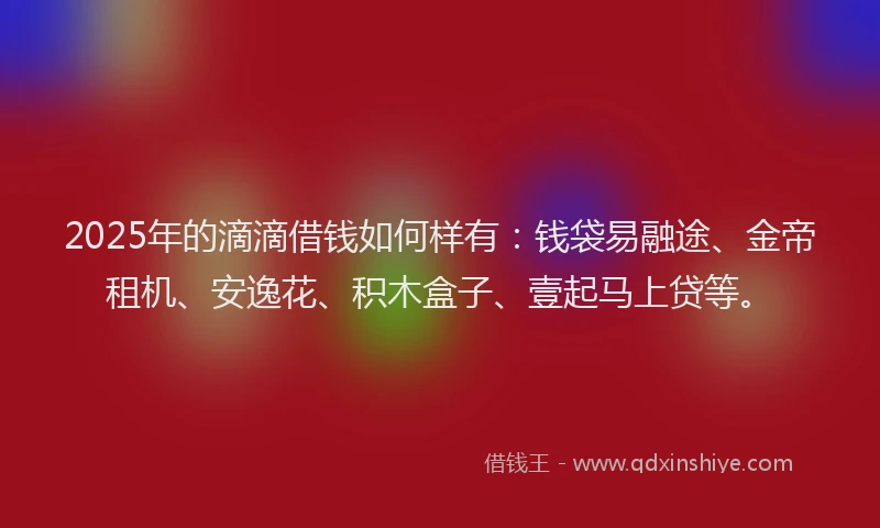 2025年的滴滴借钱如何样有：钱袋易融途、金帝租机、安逸花、积木盒子、壹起马上贷等。