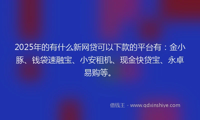 2025年的有什么新网贷可以下款的平台有：金小豚、钱袋速融宝、小安租机、现金快贷宝、永卓易购等。