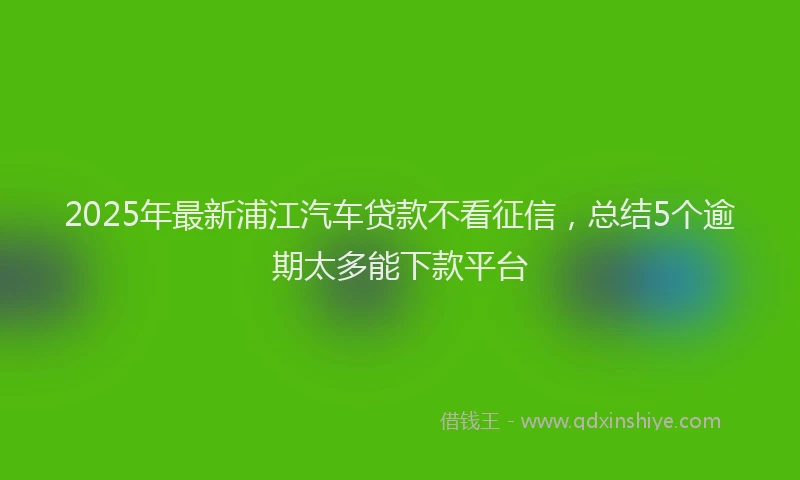 2025年最新浦江汽车贷款不看征信，总结5个逾期太多能下款平台