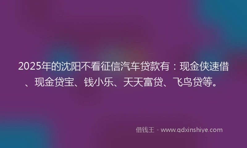 2025年的沈阳不看征信汽车贷款有：现金侠速借、现金贷宝、钱小乐、天天富贷、飞鸟贷等。