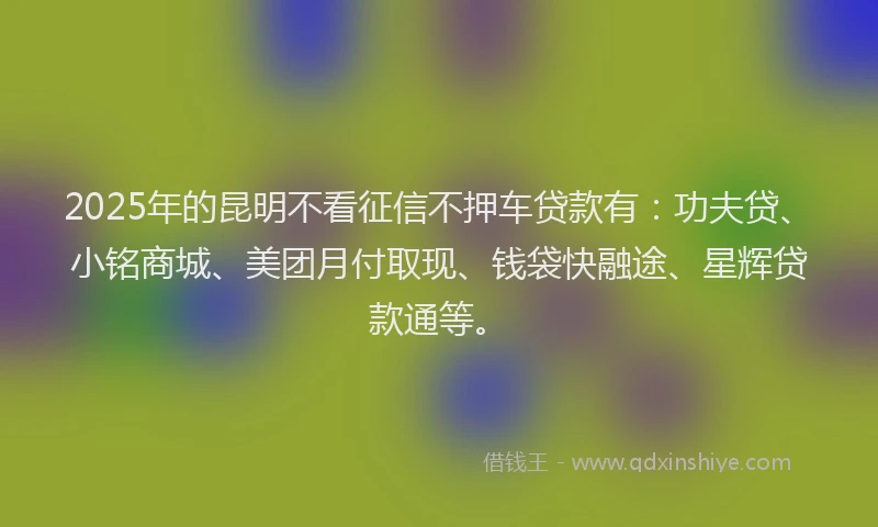 2025年的昆明不看征信不押车贷款有：功夫贷、小铭商城、美团月付取现、钱袋快融途、星辉贷款通等。