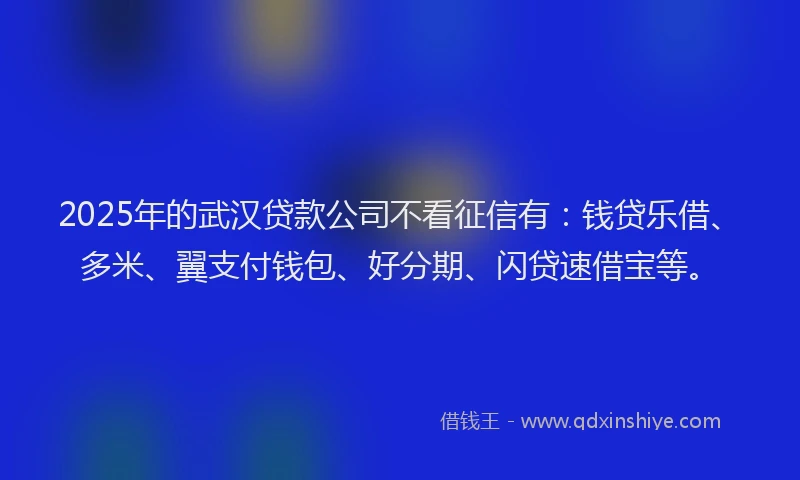 2025年的武汉贷款公司不看征信有：钱贷乐借、多米、翼支付钱包、好分期、闪贷速借宝等。