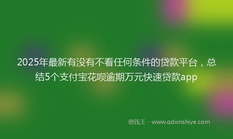 2025年最新有没有不看任何条件的贷款平台，总结5个支付宝花呗逾期万元快速贷款app