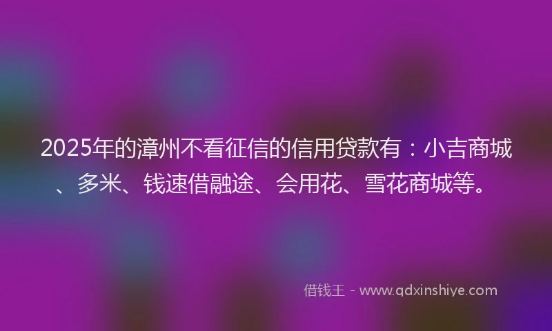 2025年的漳州不看征信的信用贷款有：小吉商城、多米、钱速借融途、会用花、雪花商城等。