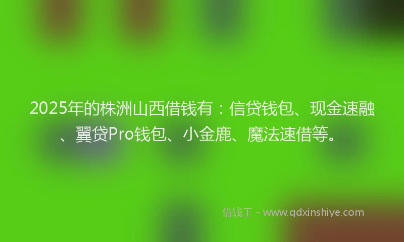 2025年的株洲山西借钱有：信贷钱包、现金速融、翼贷Pro钱包、小金鹿、魔法速借等。
