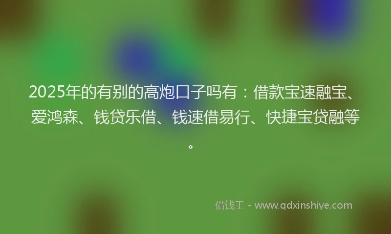 2025年的有别的高炮口子吗有：借款宝速融宝、爱鸿森、钱贷乐借、钱速借易行、快捷宝贷融等。