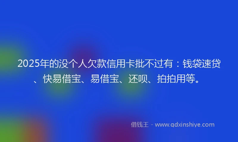 2025年的没个人欠款信用卡批不过有：钱袋速贷、快易借宝、易借宝、还呗、拍拍用等。