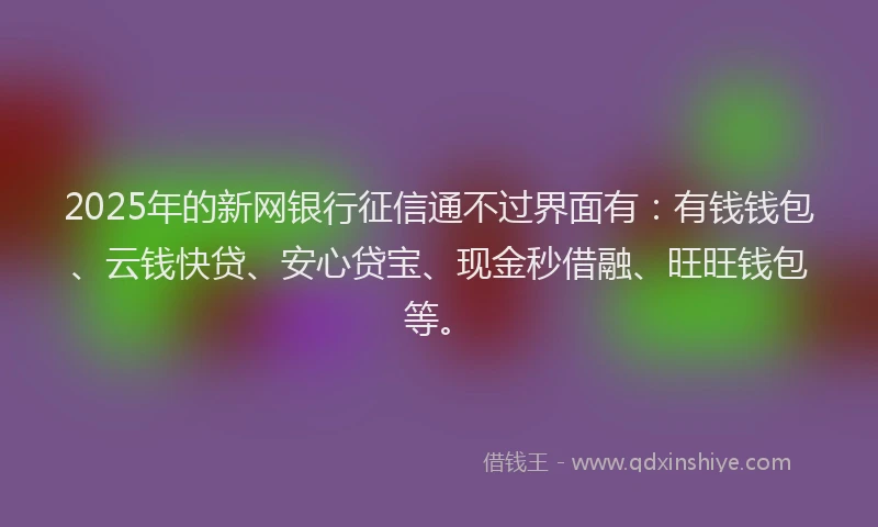 2025年的新网银行征信通不过界面有：有钱钱包、云钱快贷、安心贷宝、现金秒借融、旺旺钱包等。