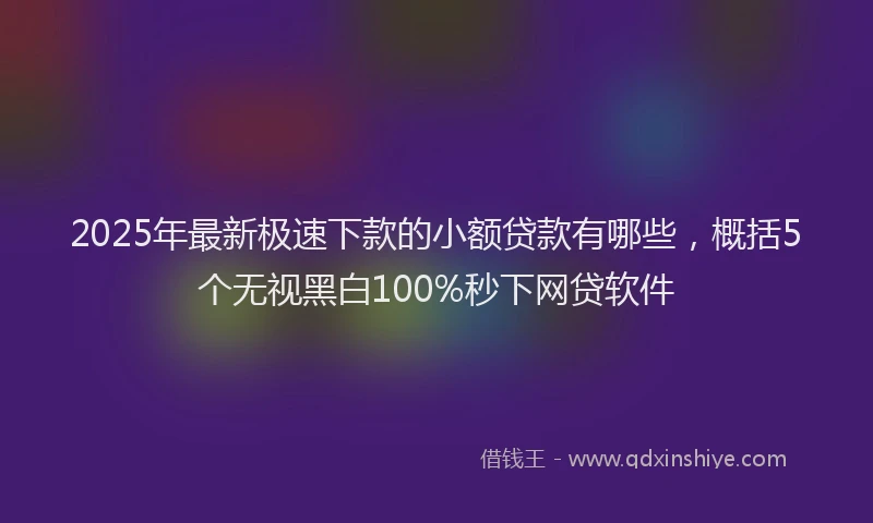 2025年最新极速下款的小额贷款有哪些，概括5个无视黑白100%秒下网贷软件