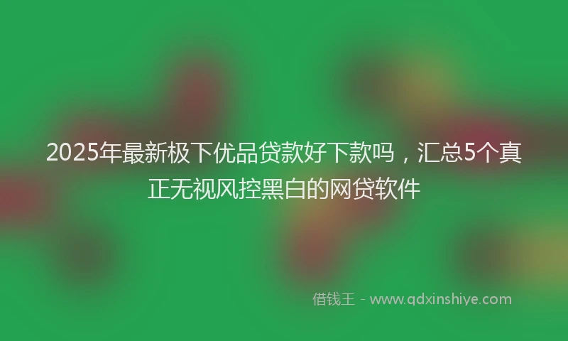 2025年最新极下优品贷款好下款吗，汇总5个真正无视风控黑白的网贷软件